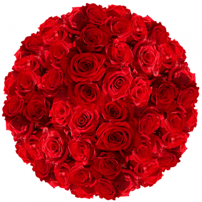 100 Red Rose Bouquet By Everbloom Qatar